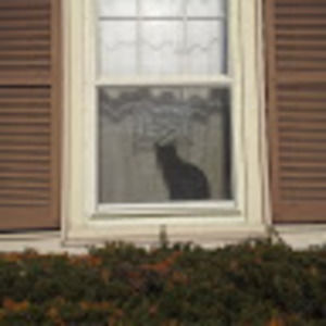 Meet your Posher, Peter